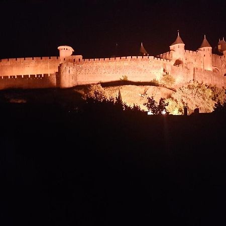 Willa Maison Vue Cite 1 Carcassonne Zewnętrze zdjęcie