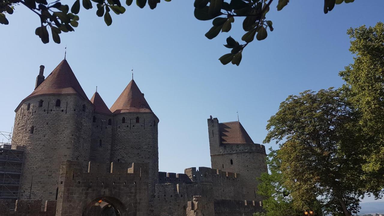 Willa Maison Vue Cite 1 Carcassonne Zewnętrze zdjęcie