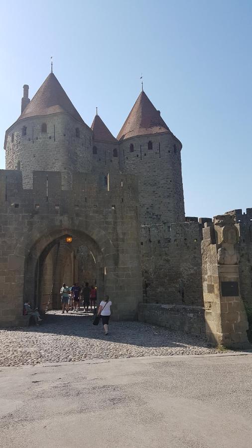 Willa Maison Vue Cite 1 Carcassonne Zewnętrze zdjęcie